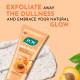Joy Apricot & Walnut Face & Body Scrub for Blackheads Removal (200gm) | Exfoliating Scrub For All Skin Types | Removes Tan & Dead Skin | 100% Vegan & Gentle on Skin Joy Apricot & Walnut Face & Body Scrub for Blackheads Removal (200gm) | Exfoliating Scrub For All Skin Types | Removes Tan & Dead Skin | 100% Vegan & Gentle on Skin
