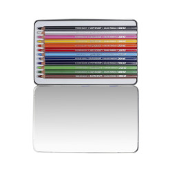 DOMS Fsc 12 Colour Pencil Flat Tin|Multicolor