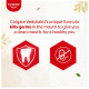 Colgate Vedshakti Toothpaste, Anti-Bacterial Paste For Whole Mouth Health, With Neem, Clove, And Honey, 200G, Freshening