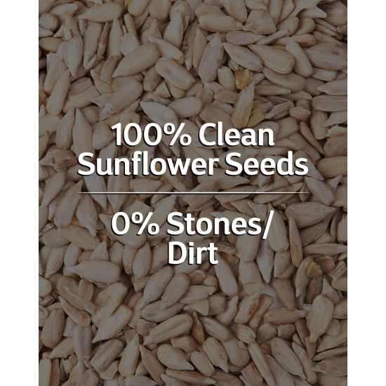 True Elements Sunflower Seeds 1kg - Raw Seeds for Eating | Healthy Snacks | High in Vitamin, Fibre & Protein | Non - GMO | Diet Food | Gluten free | Premium Raw Sunflower Seeds