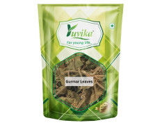 YUVIKA Gurmar Leaves - Gudmar Leaves - Gymnema Sylvestre - Periploca Of The Woods 100 Grams