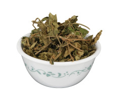 YUVIKA Gurmar Leaves - Gudmar Leaves - Gymnema Sylvestre - Periploca Of The Woods 100 Grams