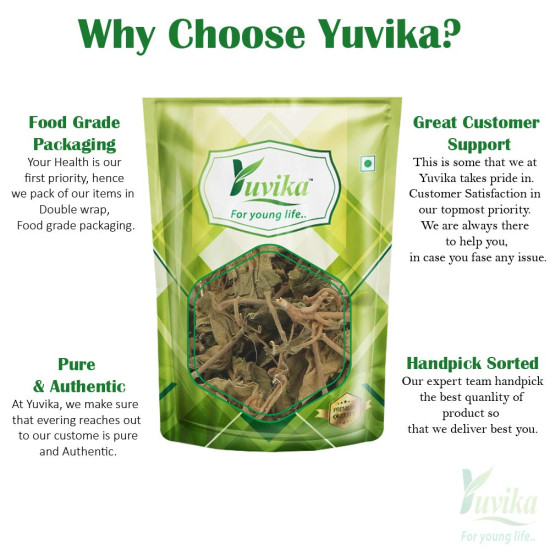 YUVIKA Gurmar Leaves - Gudmar Leaves - Gymnema Sylvestre - Periploca Of The Woods 100 Grams