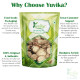 YUVIKA Kapoor Kachri - Kapur Kachri - Ekangi - Hedychium Spicatum - Spiked Ginger Lily 400 Grams