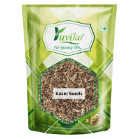YUVIKA Kasni Seeds - Cichorium Intybus - Endive - Chicory 200 Grams