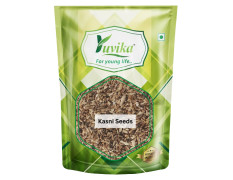 YUVIKA Kasni Seeds - Cichorium Intybus - Endive - Chicory 200 Grams