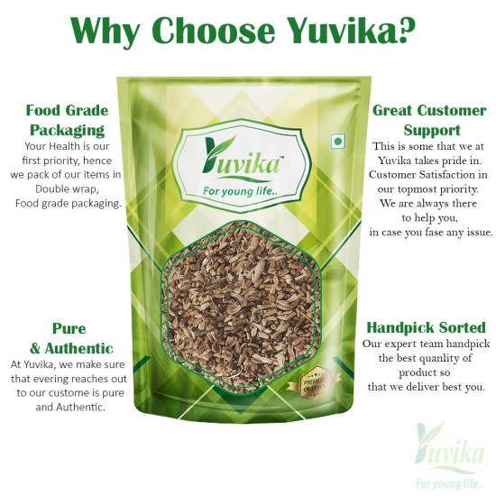 YUVIKA Kasni Seeds - Cichorium Intybus - Endive - Chicory 200 Grams