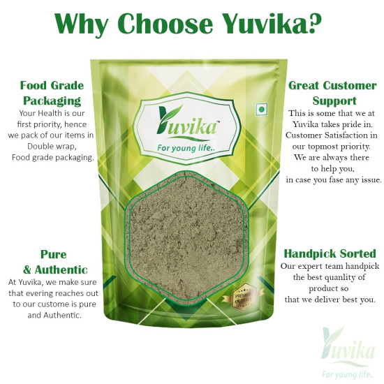 YUVIKA Gurmar Powder - Gudmar - Gymnema Sylvestre - Periploca Of The Woods 100 Grams