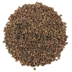 Yuvika Ajmod - Apium Graveolens - Celery Seeds 100 Grams