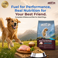 Meat Up Adult Dry Dog Food 2.4kg (1.2kg + 1.2kg) | Chicken Flavour | Healthy Skin & Coat | Antioxidants | Enriched with Vitamins & Minerals