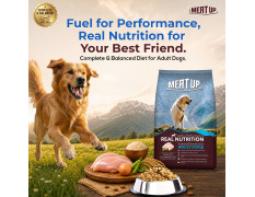 Meat Up Adult Dry Dog Food 2.4kg (1.2kg + 1.2kg) | Chicken Flavour | Healthy Skin & Coat | Antioxidants | Enriched with Vitamins & Minerals