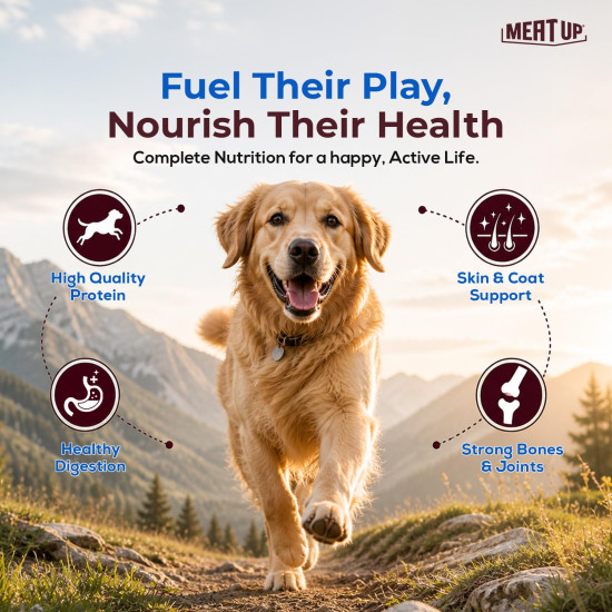 Meat Up Adult Dry Dog Food 2.4kg (1.2kg + 1.2kg) | Chicken Flavour | Healthy Skin & Coat | Antioxidants | Enriched with Vitamins & Minerals