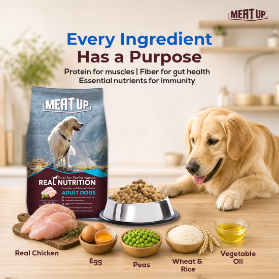 Meat Up Adult Dry Dog Food 2.4kg (1.2kg + 1.2kg) | Chicken Flavour | Healthy Skin & Coat | Antioxidants | Enriched with Vitamins & Minerals