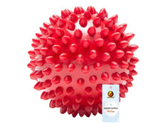 Foodie Puppies Natural Rubber Spike Ball - 2.8inch/ 7cm | Suitable for Small to Medium Dogs and Puppies | Chewing, Teething, and Training Bouncy Ball Toy
