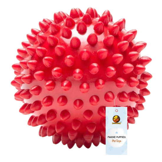 Foodie Puppies Natural Rubber Spike Ball - 2.8inch/ 7cm | Suitable for Small to Medium Dogs and Puppies | Chewing, Teething, and Training Bouncy Ball Toy