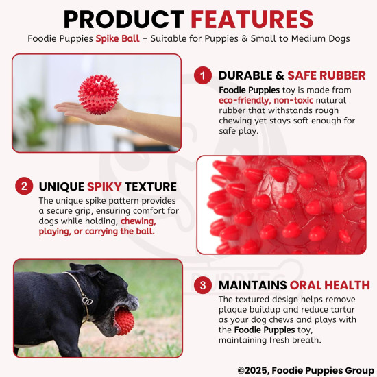 Foodie Puppies Natural Rubber Spike Ball - 2.8inch/ 7cm | Suitable for Small to Medium Dogs and Puppies | Chewing, Teething, and Training Bouncy Ball Toy
