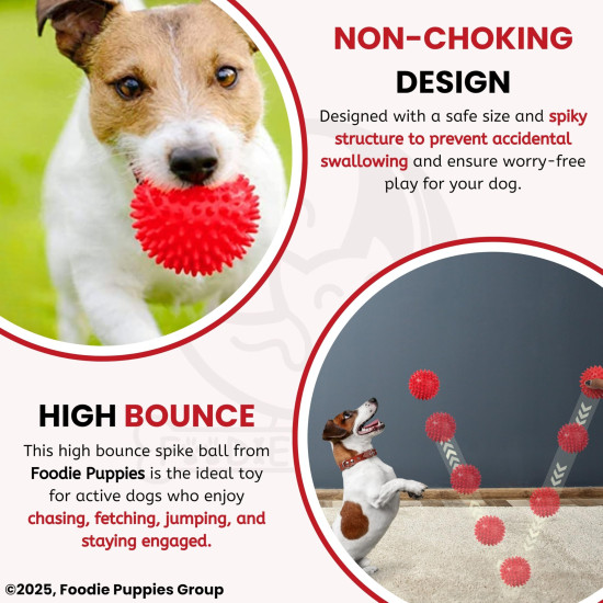 Foodie Puppies Natural Rubber Spike Ball - 2.8inch/ 7cm | Suitable for Small to Medium Dogs and Puppies | Chewing, Teething, and Training Bouncy Ball Toy