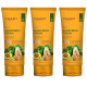 Vaadi Herbals Sunscreen Cream SPF-25, 110g (Pack of 3)