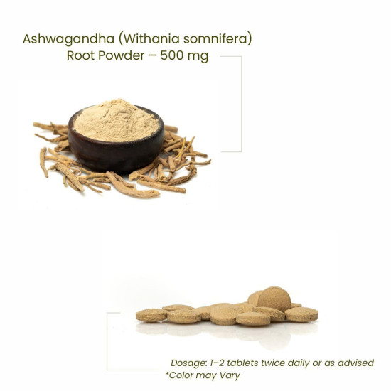 Sri Sri Tattva Ashwagandha Tablet | Ashwagandha Supplements | Immunity Booster | Helps Relieve Anxiety & Stress | Rejuvenates Mind & Body | 60 Tablets – 500 Mg