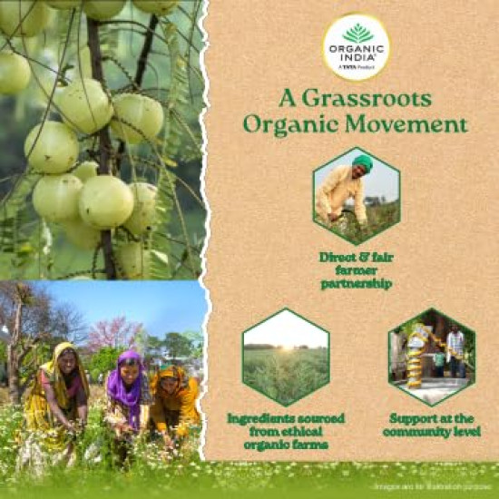 Organic India Tulsi Sweet Lemon 25 Tea Bags