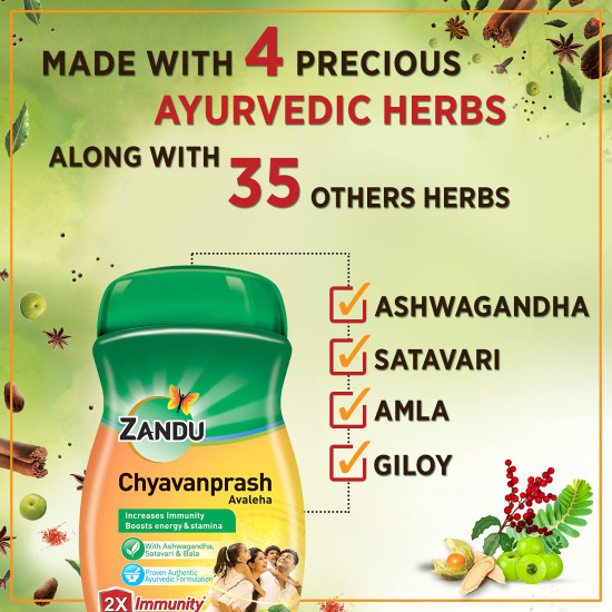 ZANDU CHYAVANAPRASH Avaleha for Increasing Immunity and Stamina, 900g
