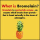 HealthyHey Nutrition Bromelain Digestive Enzyme- High Concentrate -60 Veg. Capsules (Pack of 1)