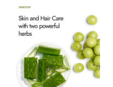 Kapiva Aloe Vera + Amla Juice | Cold-pressed Juice for Glowing Skin | Helps with Metabolism (1L)