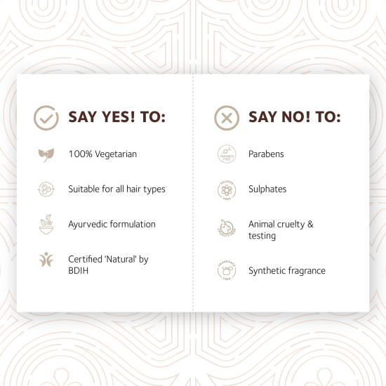 SoulTree Hibiscus Shampoo with Honey & Aloe Vera - Prevents Dryness & Hair Breakage, Cleanses & Hydrates at the same time, SLS/SLES Free - All Hair Types, 250 ml