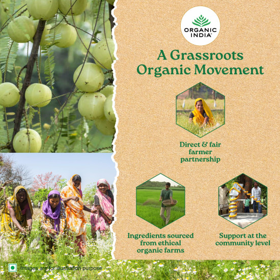 Organic India the Tulsi Original - 100 G