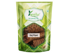 Yuvika Gaj Pipal - Piper Chaba - Sccindapsus Officinalis 100 Grams