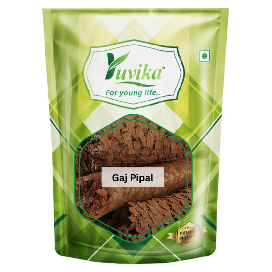 Yuvika Gaj Pipal - Piper Chaba - Sccindapsus Officinalis 100 Grams