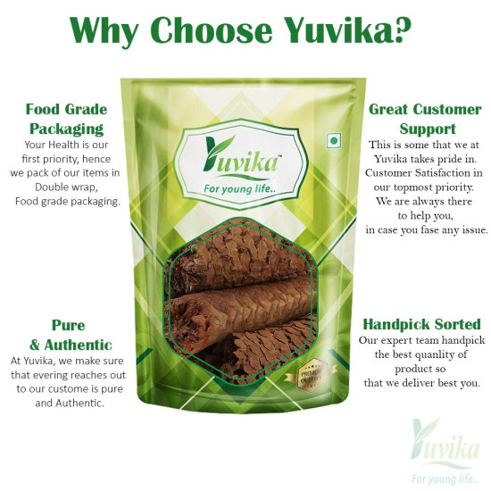 Yuvika Gaj Pipal - Piper Chaba - Sccindapsus Officinalis 100 Grams