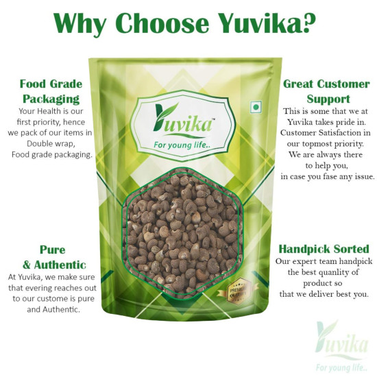 YUVIKA Mushk Dana - Mooshk Dana - Abelmoschus Moschatus - Ambrette Seeds (100 Grams)