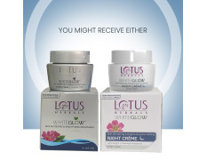 Lotus Herbals Whiteglow Skin Whitening & Brightening Nourishing Night Creme 40g