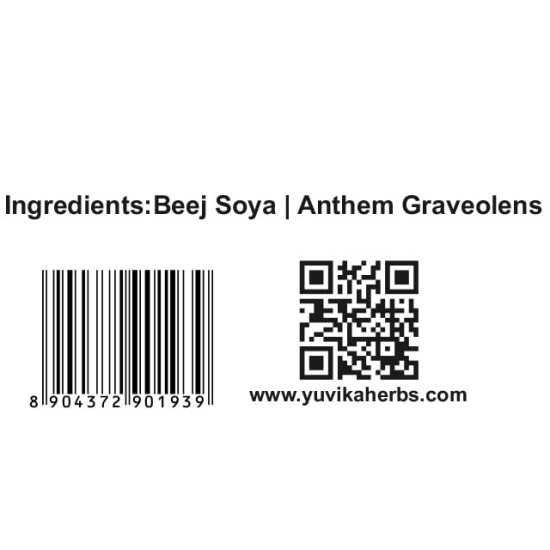 YUVIKA Beej Soya - Soya Seeds - Dil Seeds - ShataPushpa - Anthem Graveolens (100 Grams)