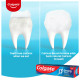 Colgate Strong Teeth Anticavity Toothpaste with Amino Shakti - 500gm and ZigZag Medium Toothbrush - Pack of 6