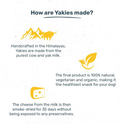Yakies by HUFT Vegetarian Natural Dog Chew Bone – 25 gm Each | Pack of 3, Small Size Healthy Long-Lasting Chew | High Protein Gluten Free Treat for Small Dogs