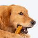 Yakies by HUFT Vegetarian Natural Dog Chew Bone – 25 gm Each | Pack of 3, Small Size Healthy Long-Lasting Chew | High Protein Gluten Free Treat for Small Dogs