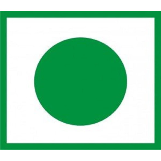 Jeevanras Giloy Juice - 500ml | Detoxifies and Rejuvenates Body | Ayurvedic Health Juice for Immunity | Improves Digestion and Boost Metabolism | Good for Liver & Skin Health