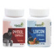 Ujwala Ayurvedashram Pymol+Livcon Capsule(30 Cap) Fast relieve in bleeding, burning & pain I For Piles, Fissure. Fistula, Inflammation & Rectum