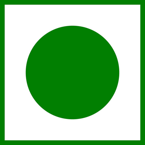 Axiom_Ayurveda Bakayan Swaras Fruit Juice