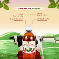 Axiom Gomutra Ark (Desi cow urine) | Natural Detoxifier| Immunity Booster | Helpful in Manage Liver and Skin Problems | No Added Sugar| No Artificial colour And Flavour -1000ml (Pack of 2) Axiom Gomutra Ark (Desi cow urine) | Natural Detoxifier| Immunity Booster | Helpful in Manage Liver and Skin Problems | No Added Sugar| No Artificial colour And Flavour -1000ml (Pack of 2)