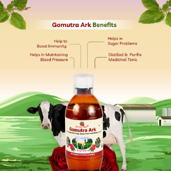Axiom Gomutra Ark (Desi cow urine) | Natural Detoxifier| Immunity Booster | Helpful in Manage Liver and Skin Problems | No Added Sugar| No Artificial colour And Flavour -1000ml (Pack of 2) Axiom Gomutra Ark (Desi cow urine) | Natural Detoxifier| Immunity Booster | Helpful in Manage Liver and Skin Problems | No Added Sugar| No Artificial colour And Flavour -1000ml (Pack of 2)