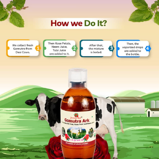 Axiom Gomutra Ark (Desi cow urine) | Natural Detoxifier| Immunity Booster | Helpful in Manage Liver and Skin Problems | No Added Sugar| No Artificial colour And Flavour -1000ml (Pack of 2) Axiom Gomutra Ark (Desi cow urine) | Natural Detoxifier| Immunity Booster | Helpful in Manage Liver and Skin Problems | No Added Sugar| No Artificial colour And Flavour -1000ml (Pack of 2)