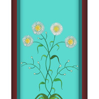 Forest Essentials Hair Cleanser, Japapatti and Brahmi, 200ml (Shampoo & Conditioner Combo)