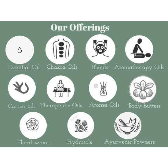 Deve Herbes Pure Babchi (Bakuchi) Oil (Psoralea corylifolia) | Cold Pressed | Natural | Undiluted | For Diluting Essential Oils | For Skin & Massage | Men & Women | 30ml