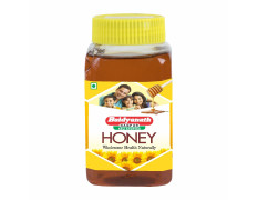 Baidyanath Honey | Natural Immunity Booster | No Added Sugar - Semiliquid, 500G