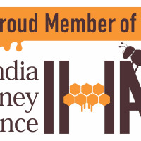 Baidyanath Honey | Natural Immunity Booster | No Added Sugar - Semiliquid, 500G