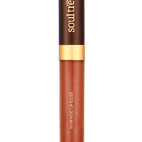 SoulTree Ayurvedic Lip Gloss - Rich Earth Colour(204), 5 g