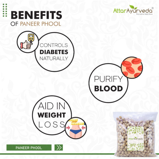 Attar Ayurveda Paneer Phool for Diabetes (400 grams) | Paneer Doda | Paneer Dodi | Withania Coagulans | Pure and Natural | No preservatives